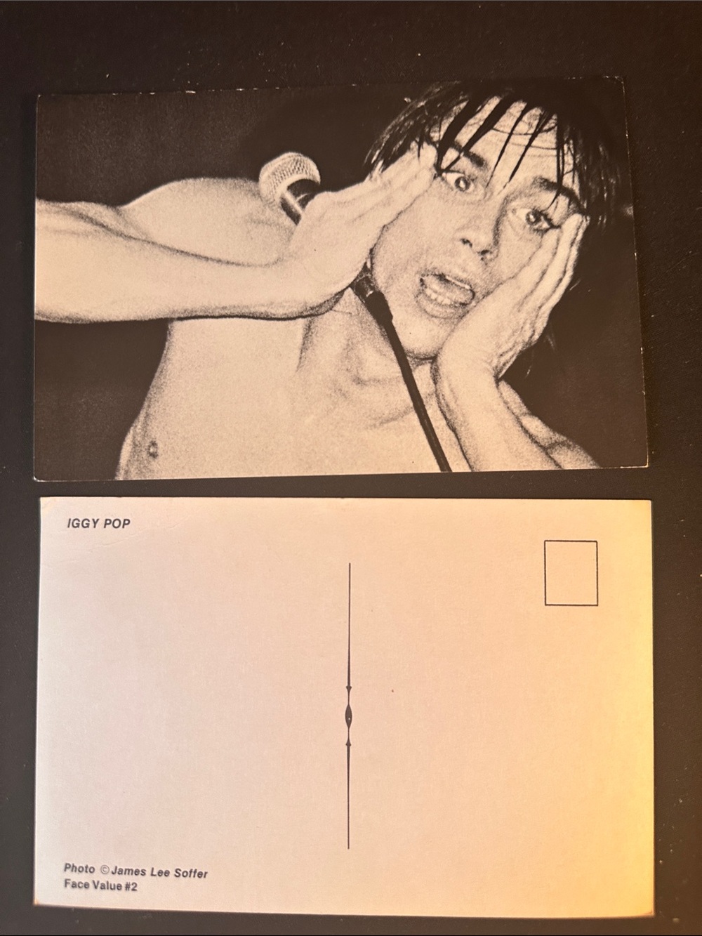 Iggy Pop 1970s Postcard - Vintage Music Photo by James Lee Sofferd